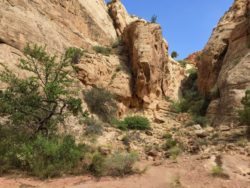 Capitol Reef National Park