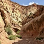 Capitol Reef National Park