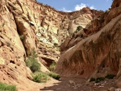 Capitol Reef National Park