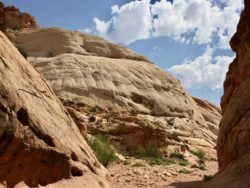 Capitol Reef National Park