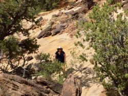 Capitol Reef National Park