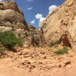 Capitol Reef National Park
