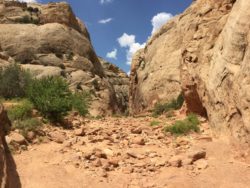 Capitol Reef National Park
