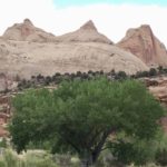 Capitol Reef National Park