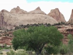 Capitol Reef National Park