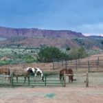 Capitol Reef National Park
