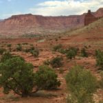 Capitol Reef National Park