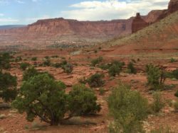 Capitol Reef National Park