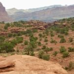 Capitol Reef National Park