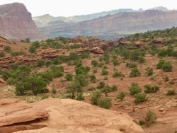 Capitol Reef National Park