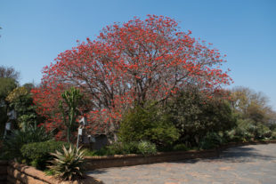 Johannesburg