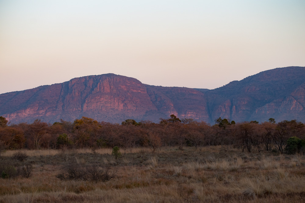 Entabeni Safari Conservancy