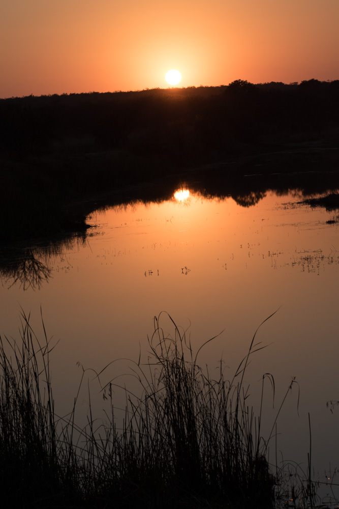 Entabeni Safari Conservancy