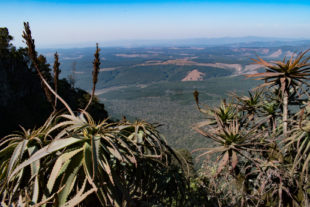 Panorama Route