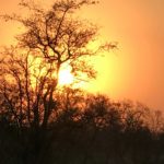 Manyeleti Game Reserve