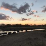 Manyeleti Game Reserve