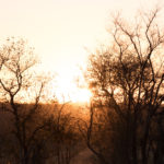 Manyeleti Game Reserve