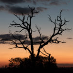 Manyeleti Game Reserve