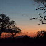 Manyeleti Game Reserve