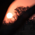 Manyeleti Game Reserve