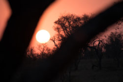 Manyeleti Game Reserve
