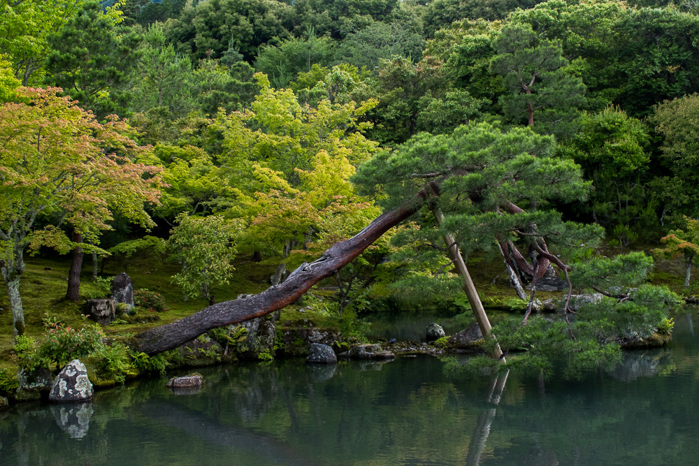 Kyoto