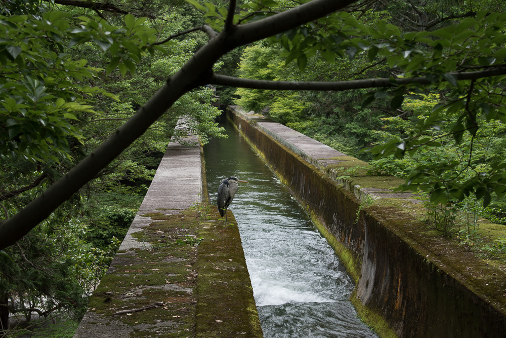 Kyoto