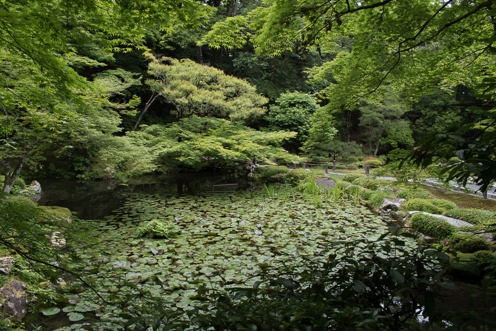 Kyoto