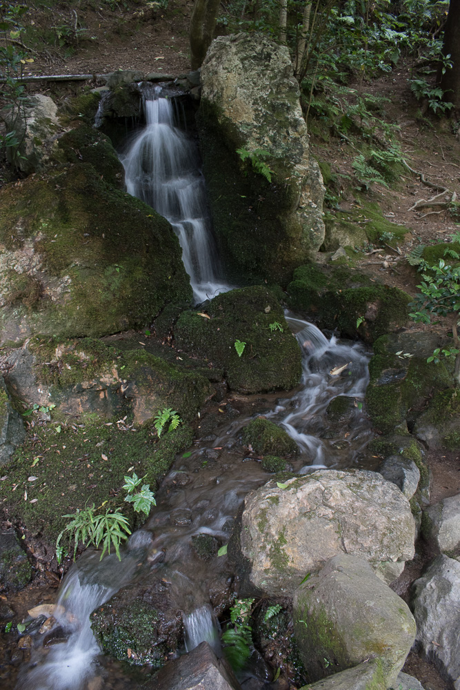 Kyoto