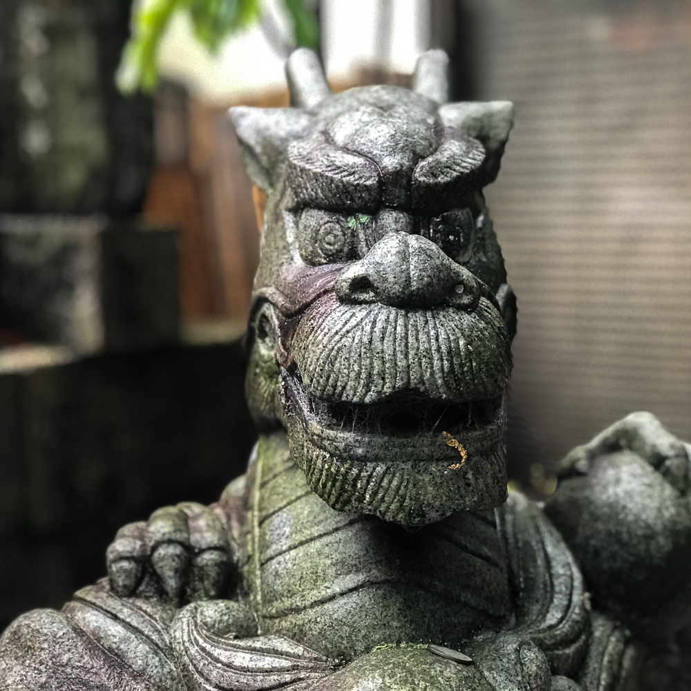 Kyoto