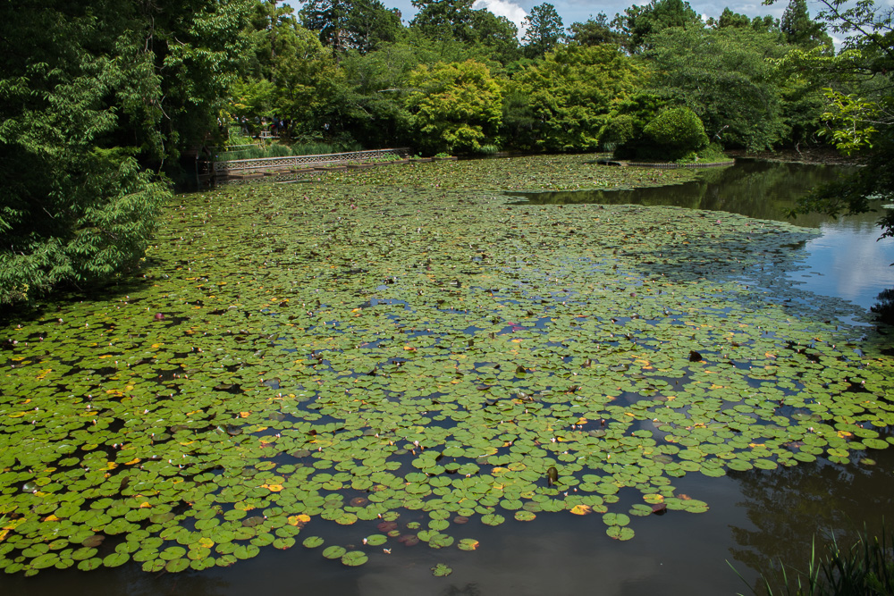 Kyoto