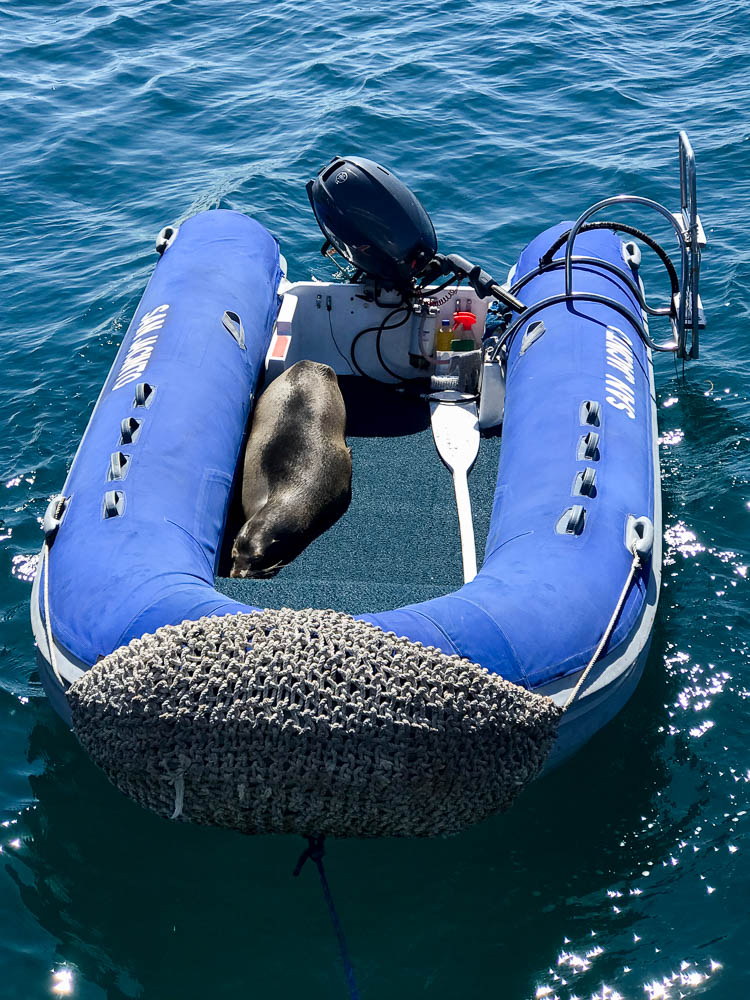 galapagos cruise
