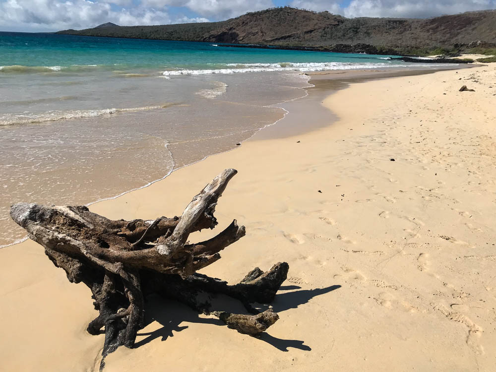 Galapagos Cruise Floreana
