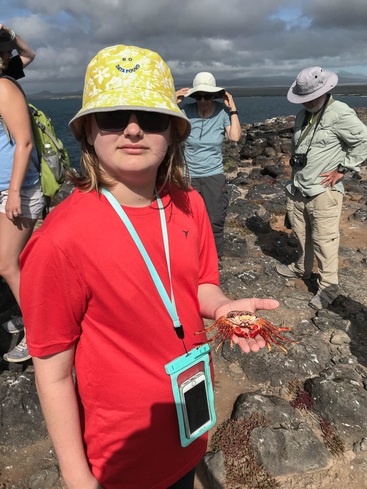 galapagos cruise south plaza island