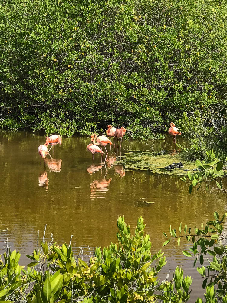 galapagos island hopping