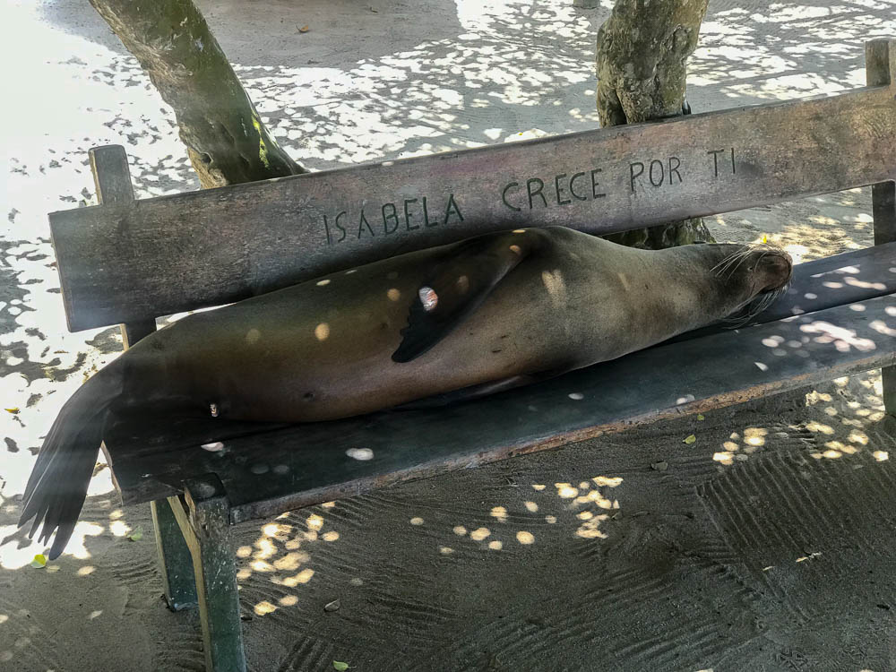 isabela island