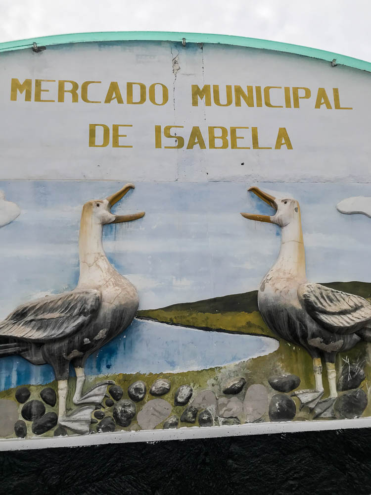 galapagos island hopping isabela island