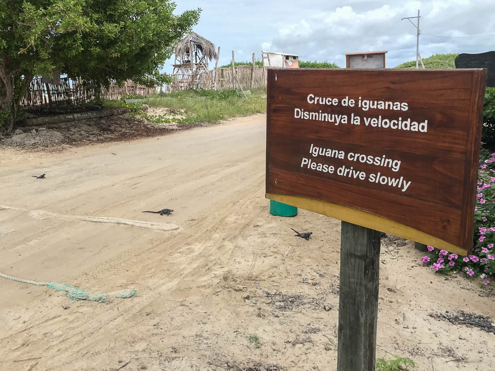 galapagos island hopping