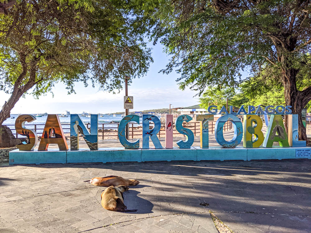 sea lions san cristobal