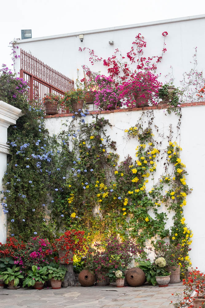 museo larco