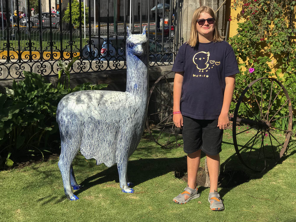 mundo alpaca