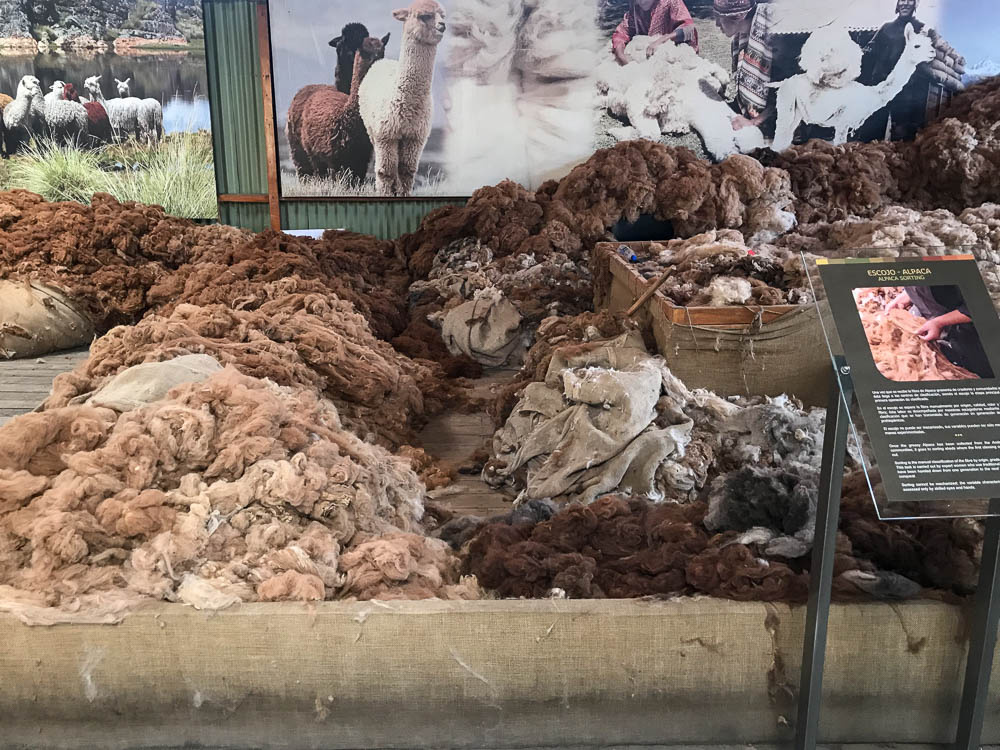 mundo alpaca