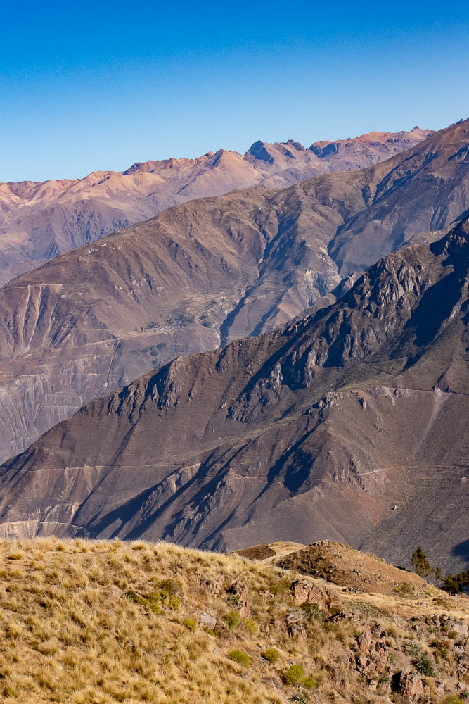 colca canyon tour