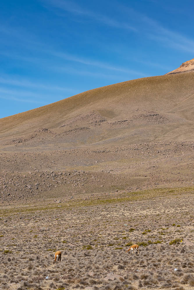 colca canyon tour