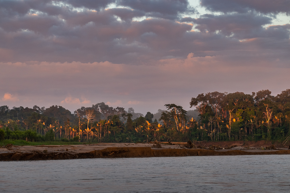 Peruvian Amazon