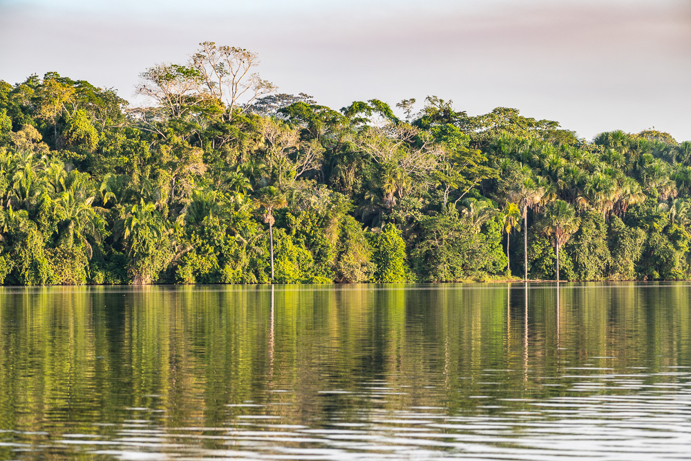 lake sandoval