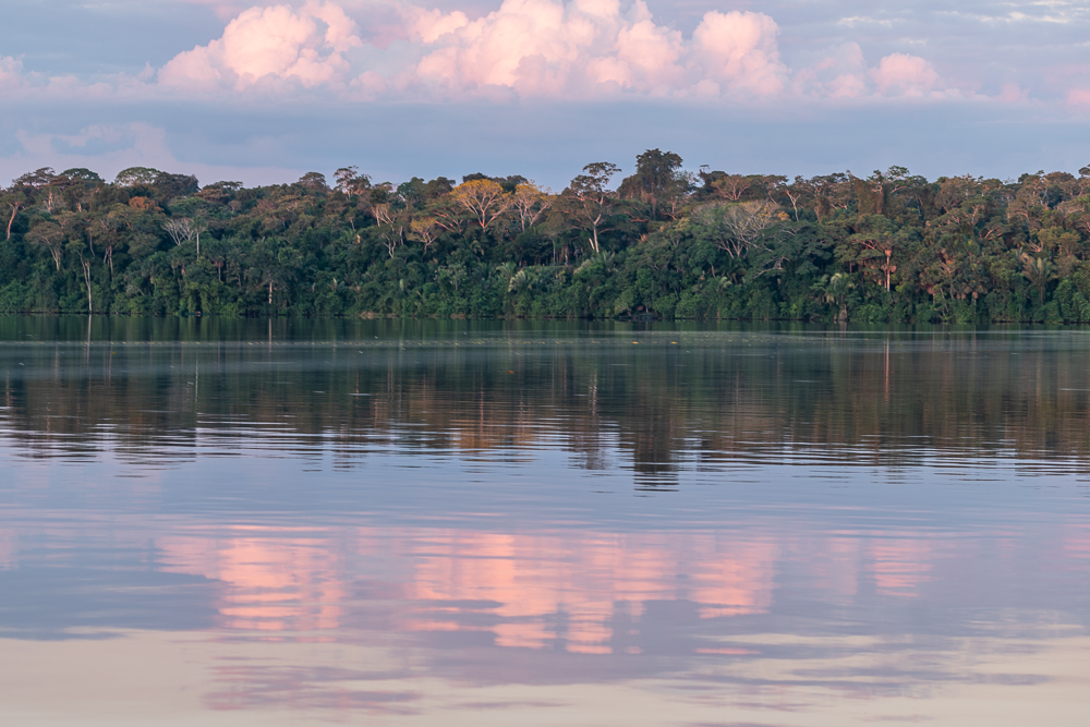 lake sandoval, peruvian amazon