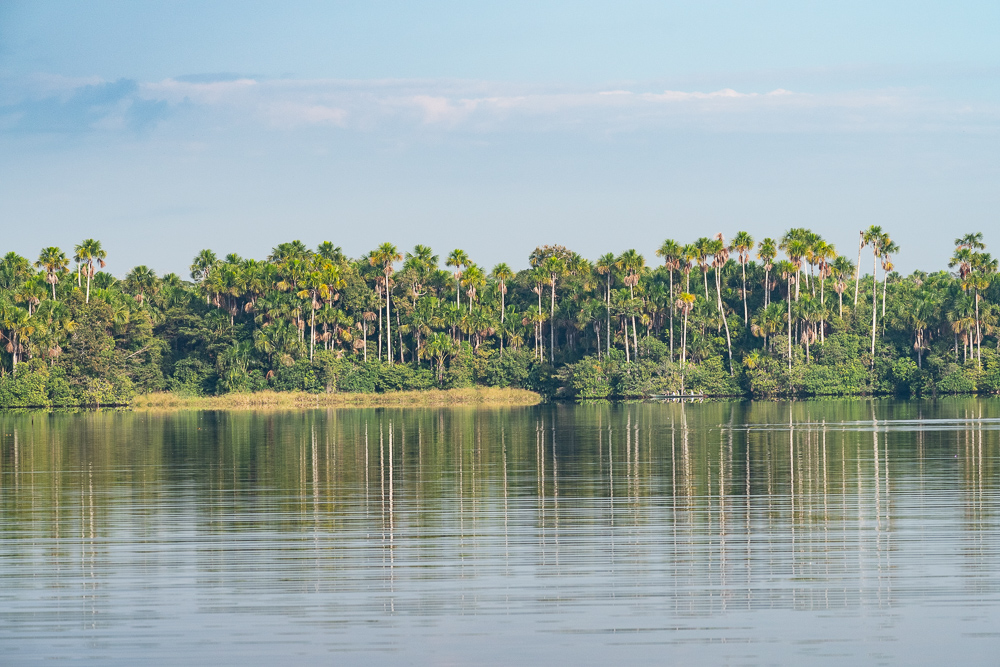 lake sandoval