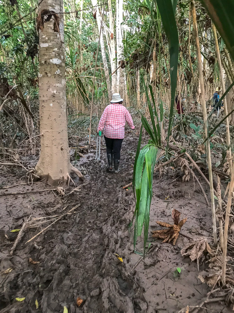 Peruvian Amazon