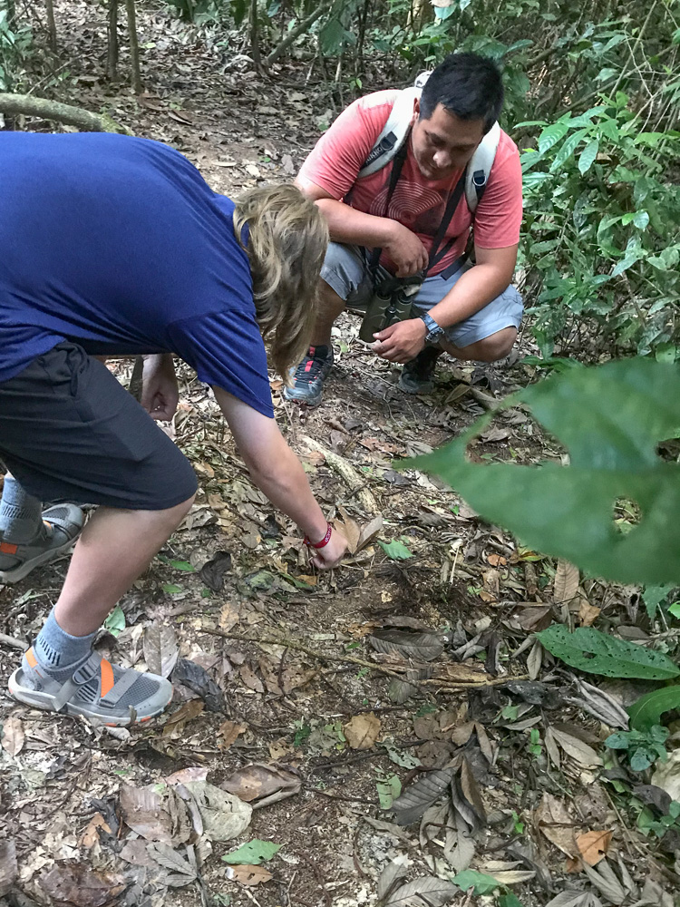Peruvian Amazon